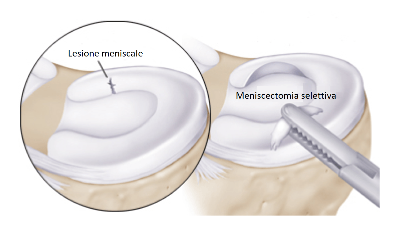 Immagine 2022-04-12 123354 sport medicine